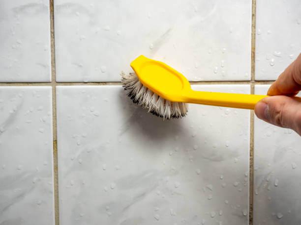 Best Professional Mold Removal  in Balch Springs, TX