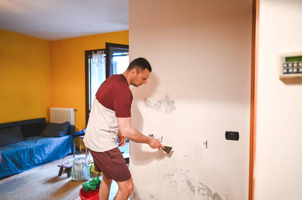 Best Home Mold Removal  in Balch Springs, TX